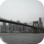 Woody Allen New York App