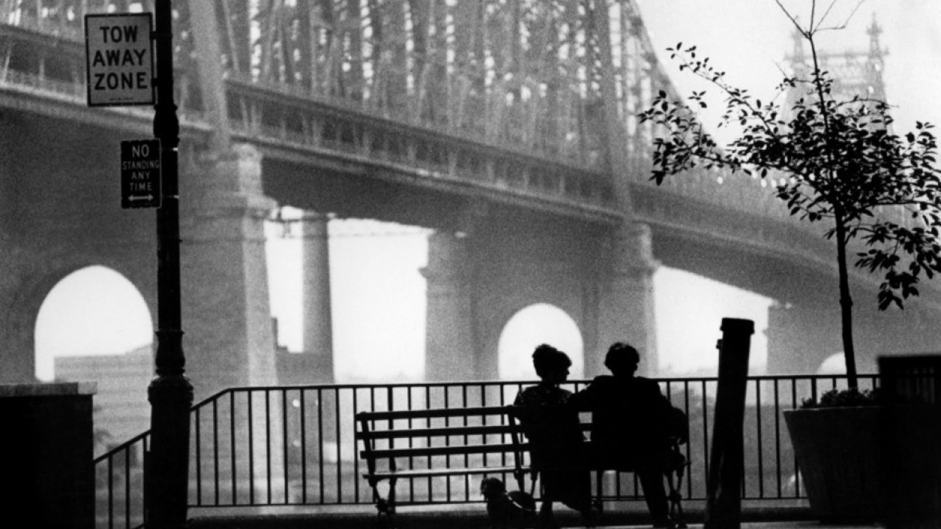 Manhattan – The Woody Allen Pages